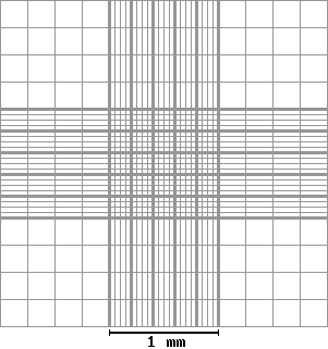 Neubauer Improved Counting Chamber