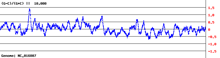 Asymmetry of NC_016807 -  genome